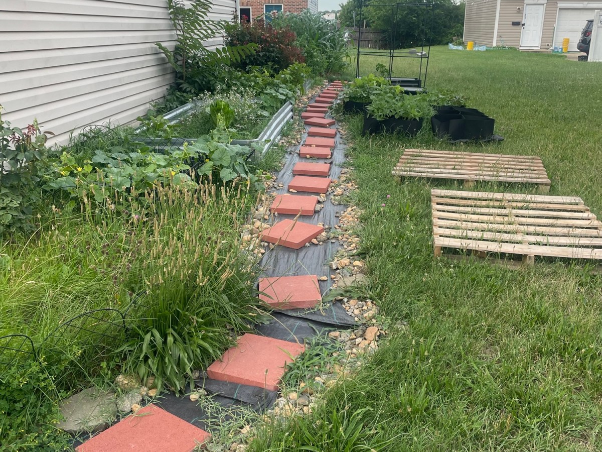 Building a Backyard Food Forest One Harvest at a&nbsp;Time