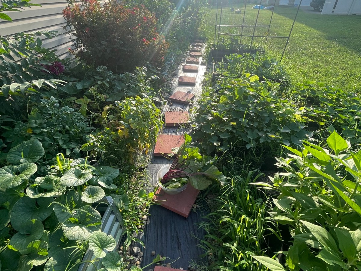 From My Garden to My Grandmother’s&nbsp;Kitchen