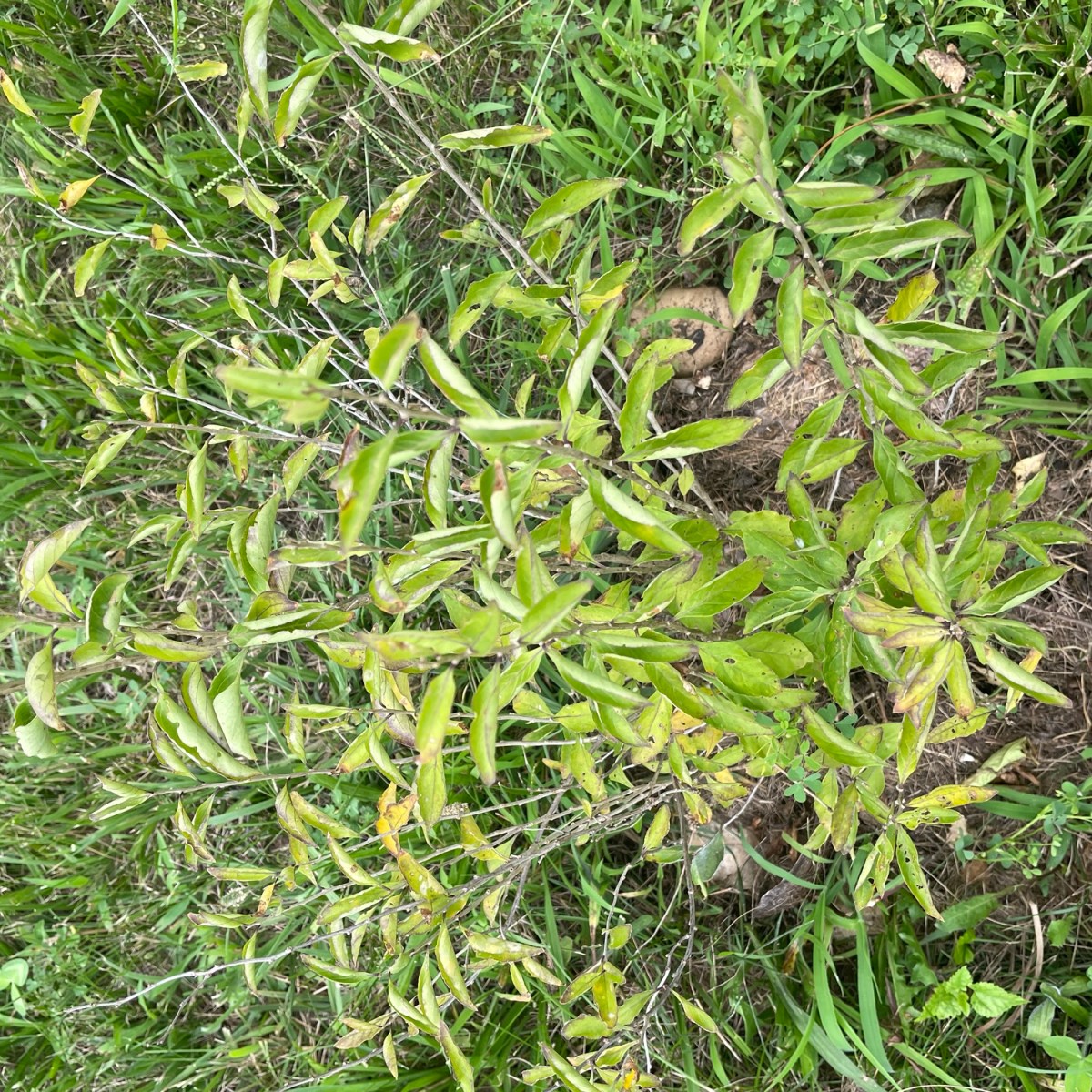 What My Garden Is Teaching Me About&nbsp;Patience
