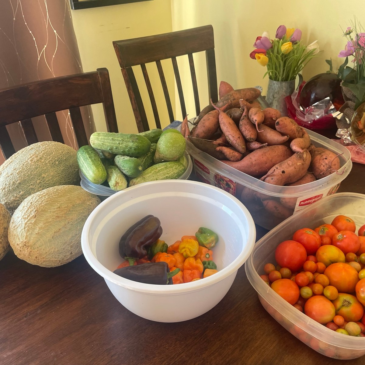 A Garden Full of Surprises: Looking Back at My Summer&nbsp;Harvest